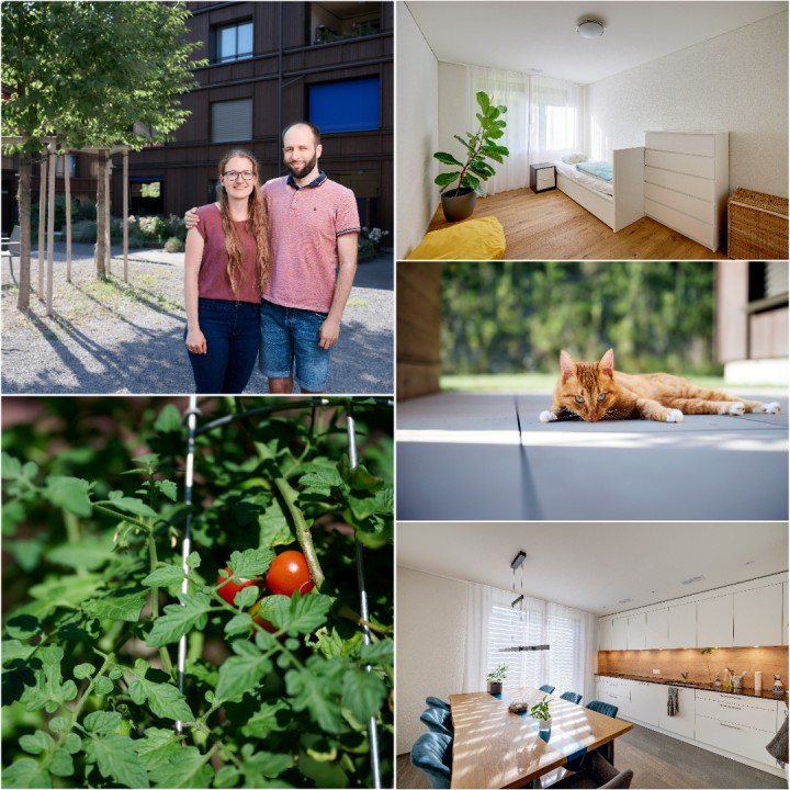 Bigler Birrer Collage