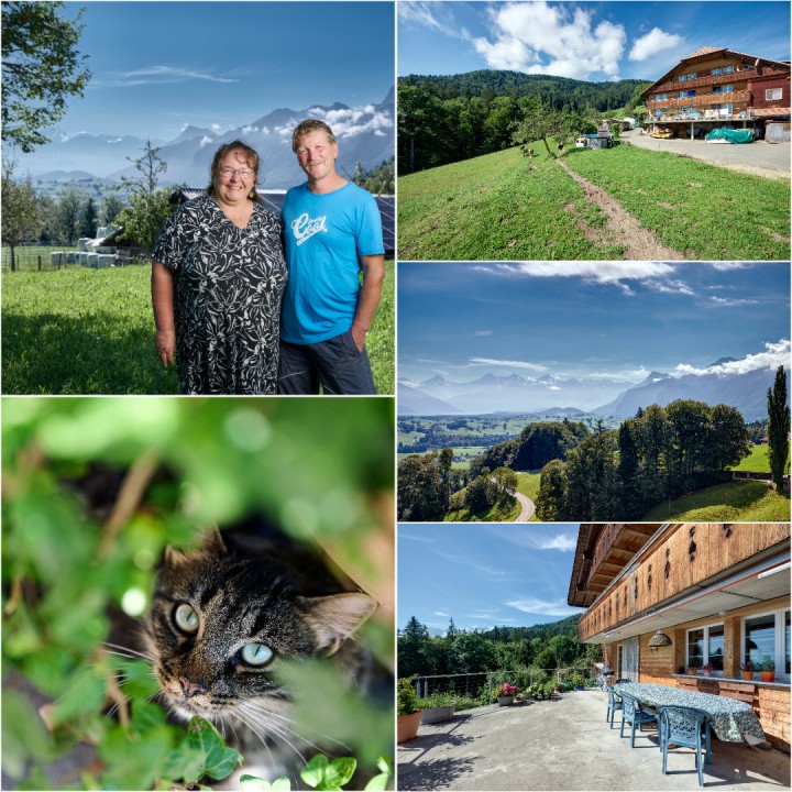 Engeloch Collage