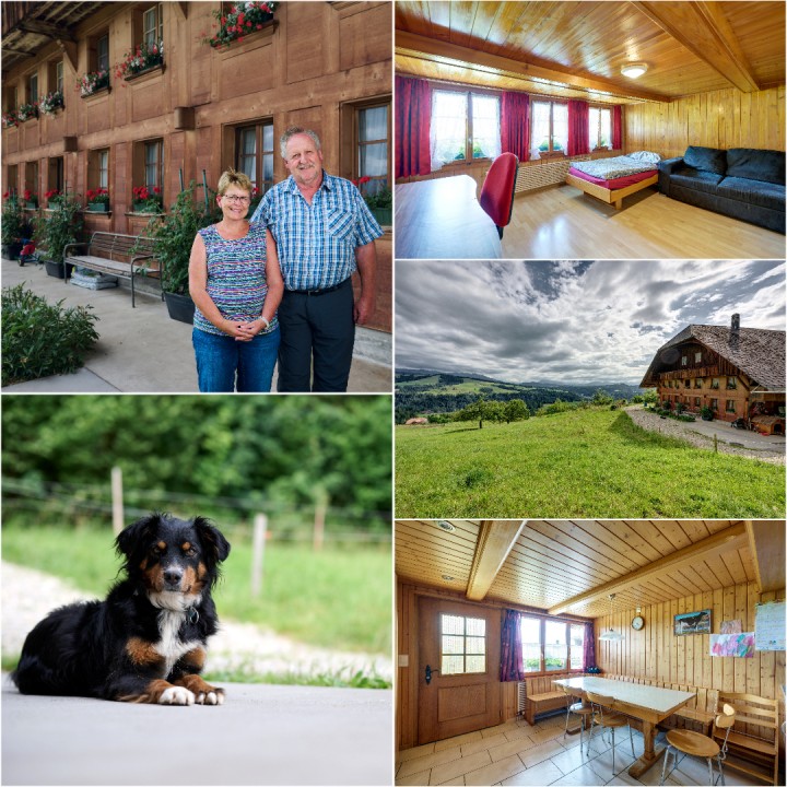 Zaugg Collage
