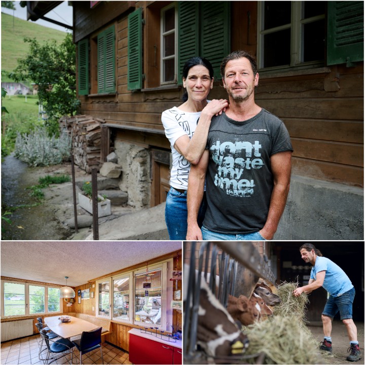 von Niederhaeusern Collage