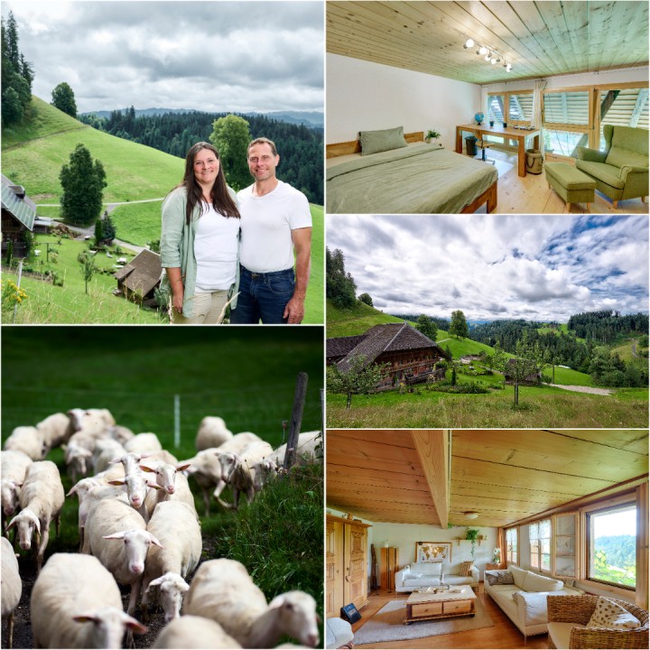 Albisser Schuerch Collage