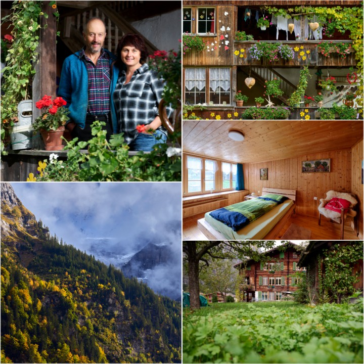 Collage Feuz v2