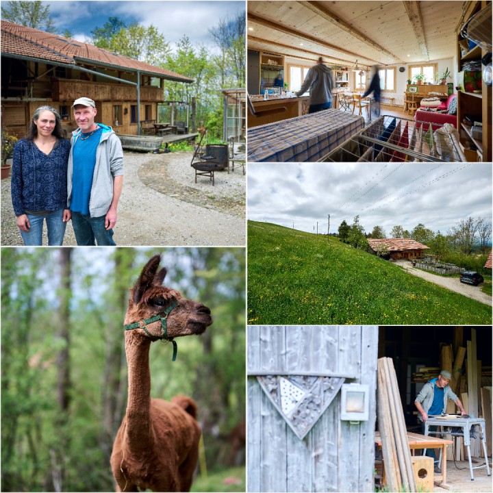 Hauenreiter Luethi Collage